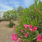 Praia Eulália with pool&5 minutes from the beach