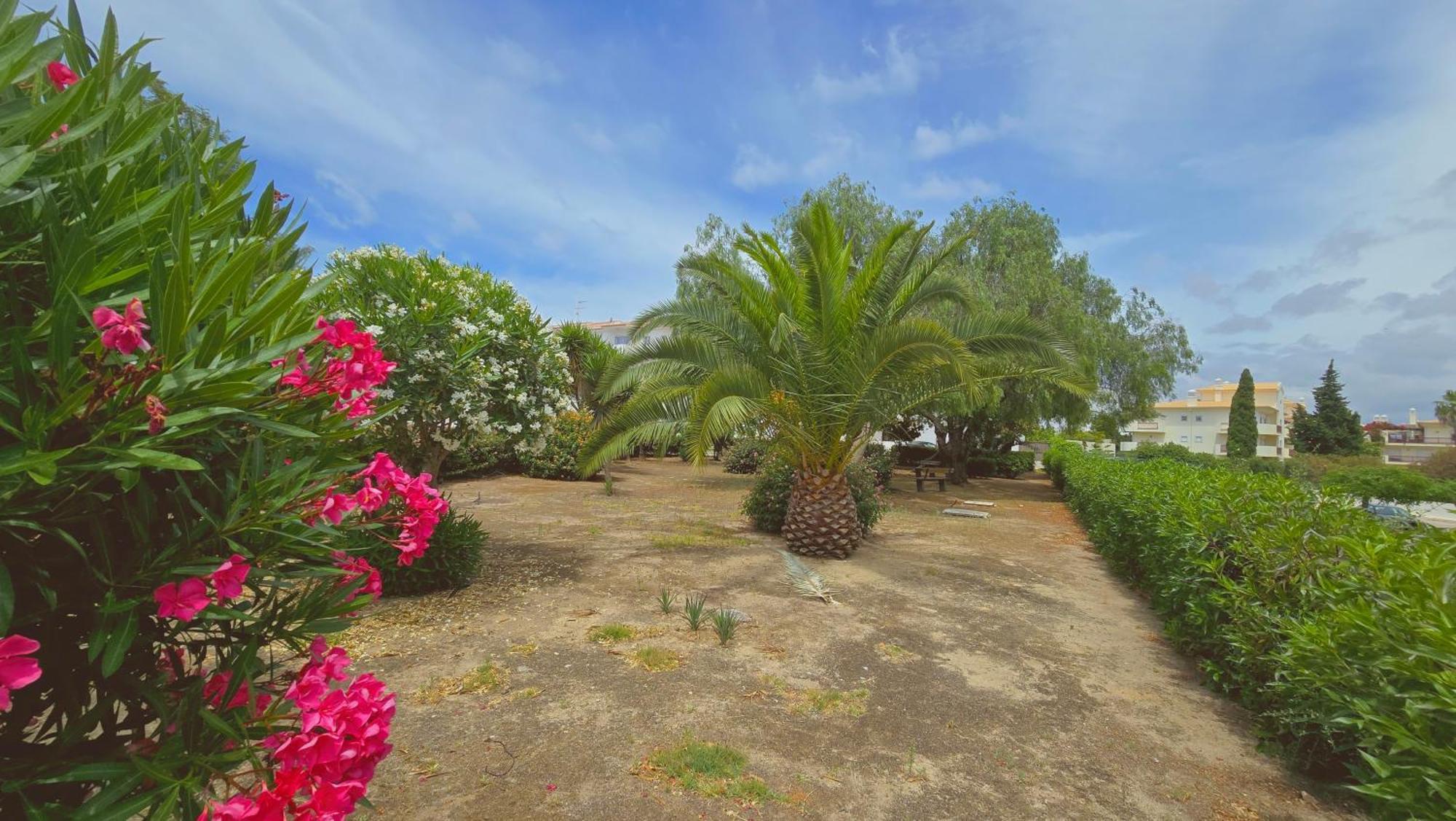 Eulália With Pool&5 Minutes From The Apartamento Albufeira