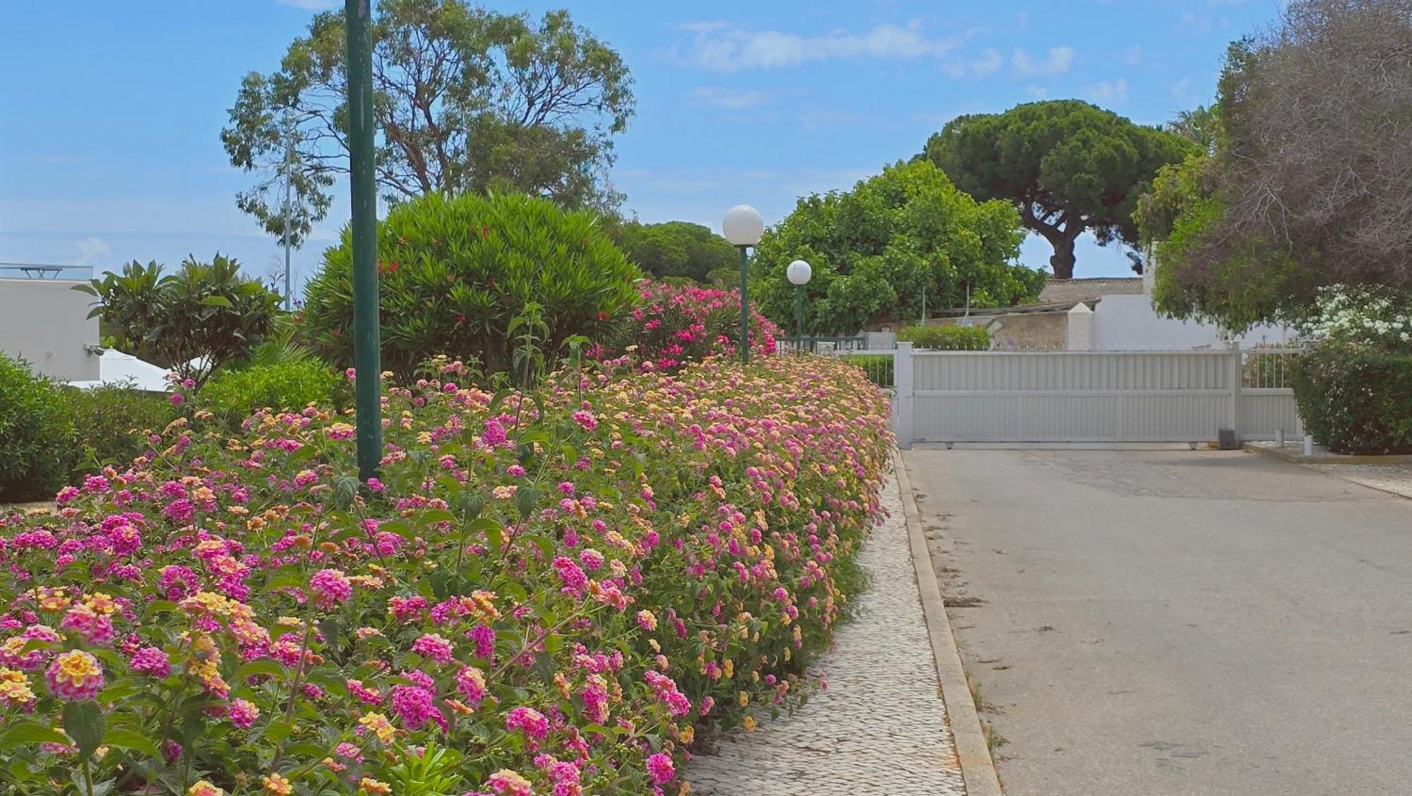 Eulália With Pool&5 Minutes From The Apartamento Albufeira